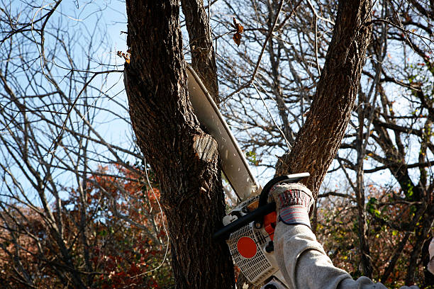 Soil Testing and Treatment in Woodburn, VA